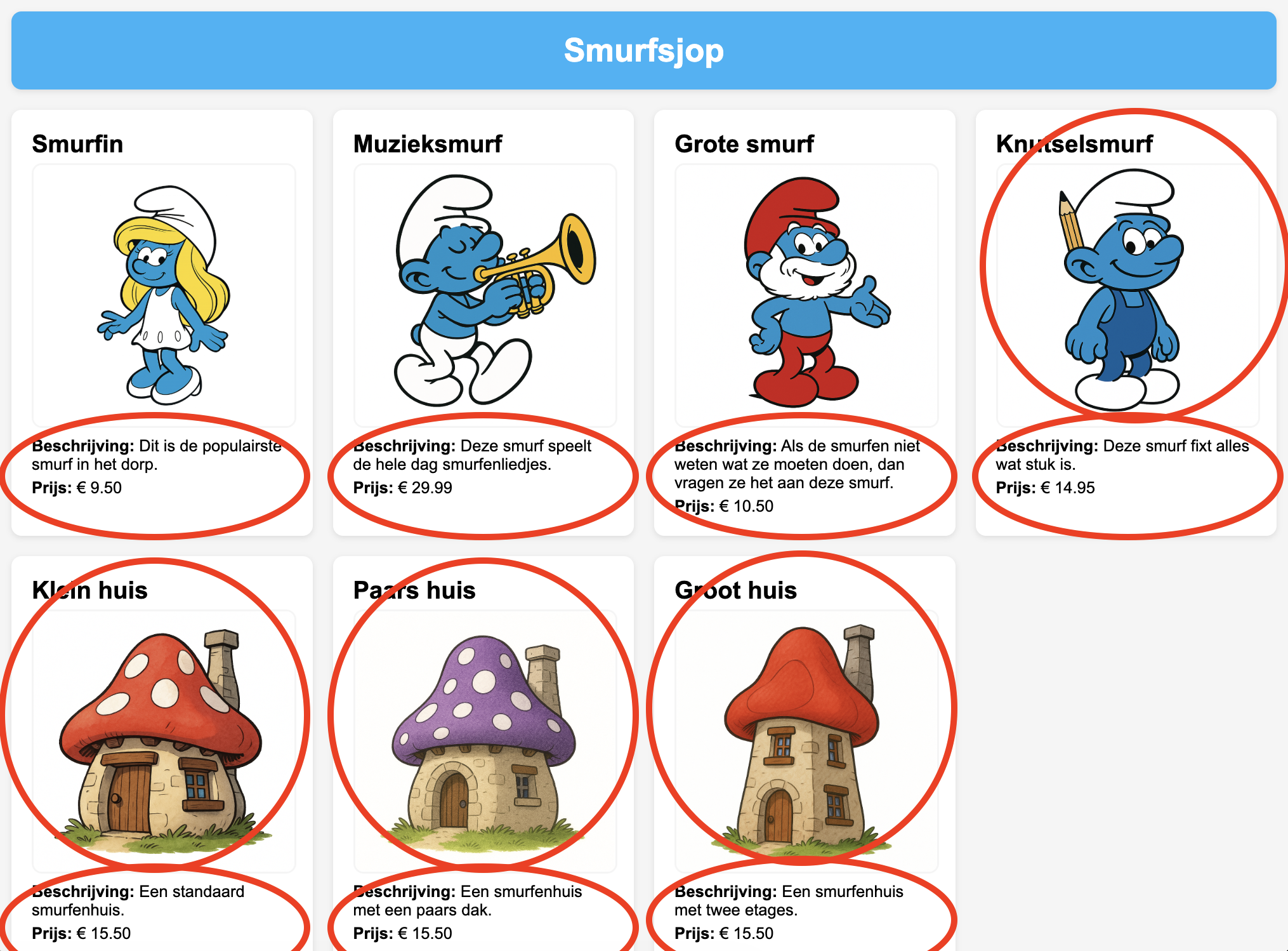 Schermafdruk van webshop aan het einde van dit hoofdstuk.