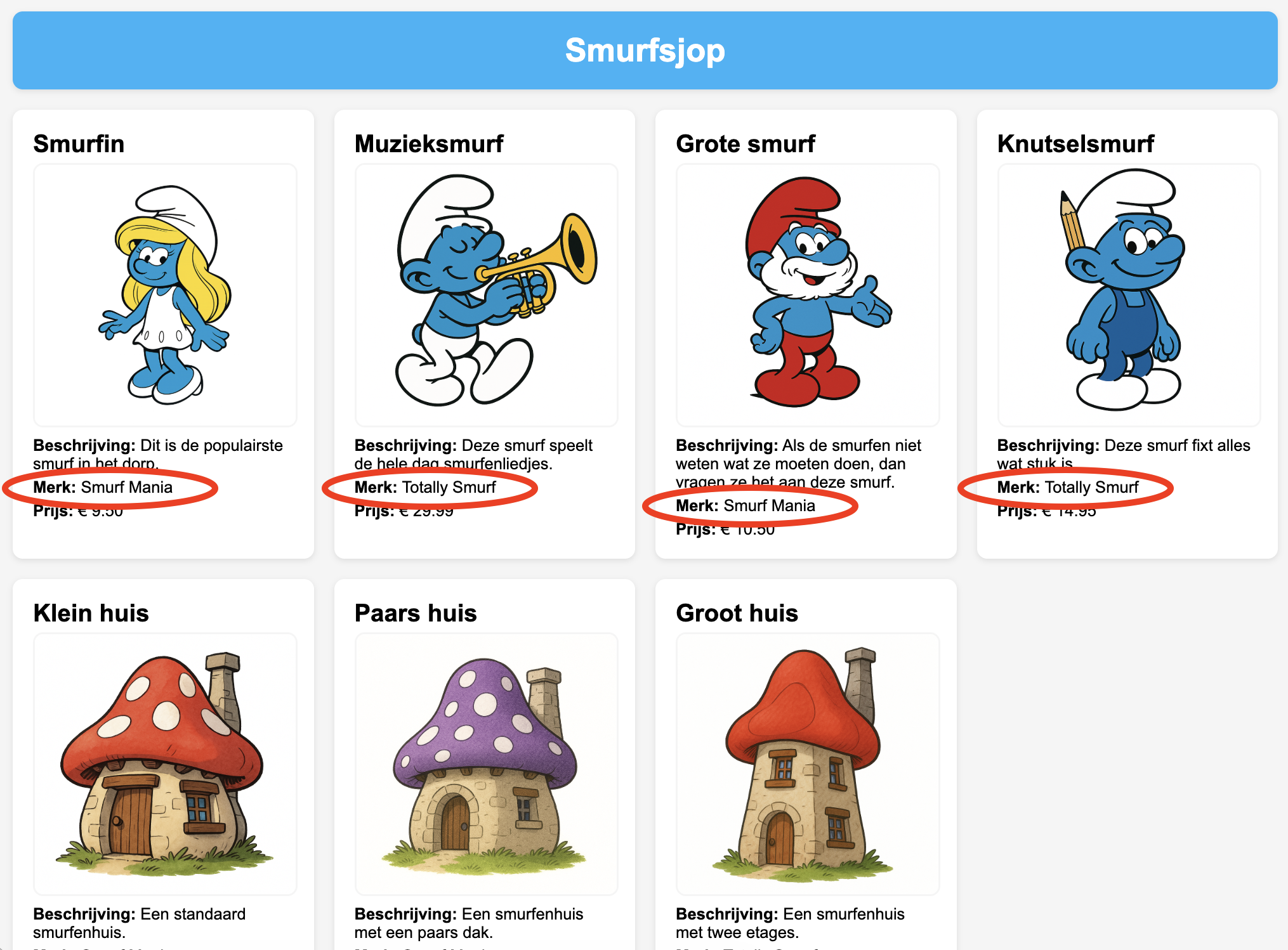 Schermafdruk van webshop aan het einde van dit hoofdstuk.